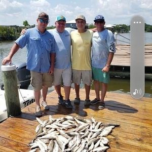 Meet your Posher, Randy